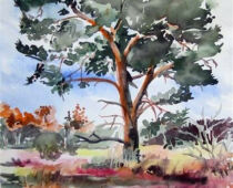 Aquarell | 30 x 40 cm | Preis: 85 € | #862 Ahrenshoop (Aquarell)