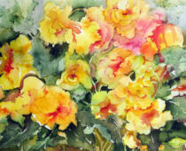 Aquarell | 30 x 40 cm | Preis: 85 € | #79 Begonien (Aquarell)