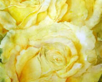 Aquarell | 30 x 40 cm | Preis: 85 € | #189 Gelbe Rosen (Aquarell)