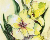 Aquarell | 15 x 25 cm | Gastgeschenk Geburtstag | #198 Gladiole - Gladiolus sp. (Aquarell)
