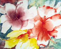 Aquarell | 30 x 40 cm | Preis: 75 € | #218 Hibiskusblüte (Aquarell)
