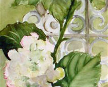 Aquarell | 30 x 60 cm | Preis: 120 € | #271 Hortensien (Aquarell)