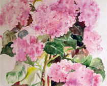 Aquarell | 36 x 48 cm | Preis: 100 € | #276 Hortensien (Aquarell)