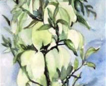 Aquarell | 30 x 60 cm | Preis: 150 € | #290 Jucca - Rispe (Aquarell)