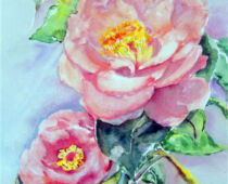 Aquarell | 30 x 40 cm | Preis: 85 € | #936 Kamelie (Aquarell)