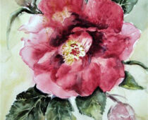 Aquarell | 30 x 40 cm | Preis: 85 € | #948 Kamelie (Aquarell)