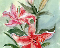 Aquarell | 15 x 25 cm | Gastgeschenk Geburtstag | #313 Lilie - Lilium orientalis (Aquarell)