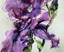 Aquarell | 30 x 40 cm | Preis: 85 € | #934 Lillie (Aquarell)