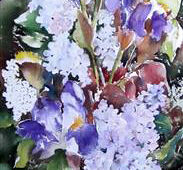 Aquarell | 30 x 60 cm | Preis: 80 € | #782 Lilien (Aquarell)