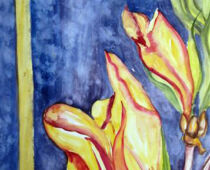 Aquarell | 36 x 48 cm | Preis: 100 € | #843 Magnolie (Aquarell)