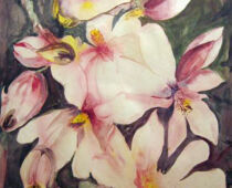 Aquarell | 42 x 56 cm | Preis: 150 € | #321 Magnolien (Aquarell)