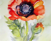 Aquarell | 15 x 25 cm | Gastgeschenk Geburtstag | #897 Mohn - Papaver (Aquarell)