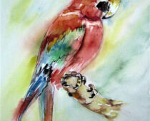 Aquarell | 30 x 40 cm | Preis: 85 € | #952 Papagei (Aquarell)