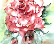 Aquarell | 30 x 40 cm | Preis: 85 € | #935 Rosenzweig (Aquarell)