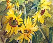 Aquarell | 42 x 56 cm | Preis: 150 € | #437 Sonnenblumen (Aquarell)