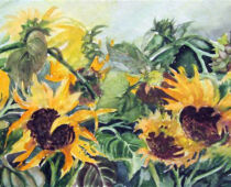 Aquarell | 40 x 80 cm | Preis: 85 € | #439 Sonnenblumen (Aquarell)