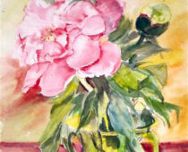 Aquarell | 36 x 48 cm | Preis: 125 € | #464 Strauchpfingstrosen (Aquarell)