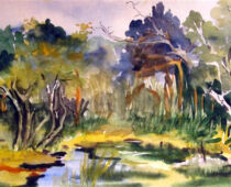 Aquarell | 40 x 80 cm | Preis: 85 € | #483 Torgau - Entenfang (Aquarell)