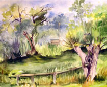 Aquarell | 36 x 48 cm | Preis: 125 € | #473 Torgau - Am Pflückhoff (Aquarell)