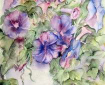 Aquarell | 42 x 56 cm | Preis: 150 € | #500 Trichterwinde (Aquarell)