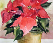 Aquarell | 36 x 48 cm | Preis: 125 € | #529 Weihnachtsstern (Aquarell)