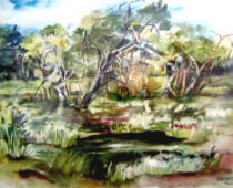 Aquarell | 42 x 56 cm | Preis: 150 € | #558 Zadlitzbruch (Aquarell)