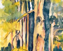 Aquarell | 30 x 60 cm | Preis: 75 € | #559 Zadlitzbruch (Aquarell)