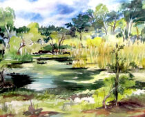 Aquarell | 60 x 80 cm | Preis: 300 € | #805 Zadlitzbruch (Aquarell)