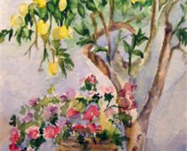 Aquarell | 40 X 80 cm | Preis: 125 € | #566 Zitronenbäumchen mit großer Tonvase (Aquarell)