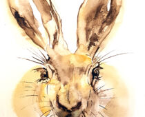 Aquarell | 18 x 24 cm | Gastgeschenk Hochzeit | #973 Hase (nachempfunden) (Aquarell)