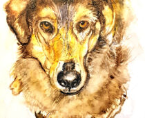 Aquarell | 18 x 24 cm | Gastgeschenk Hochzeit | #979 Django (Aquarell)