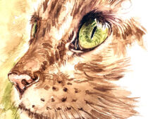 Aquarell | 18 x 24 cm | Gastgeschenk Hochzeit | #983 Katzengesicht (nachempfunden) (Aquarell)