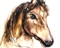 Aquarell | 18 x 24 cm | Gastgeschenk Hochzeit | #1005 Pferdekopf (nachempfunden) (Aquarell)