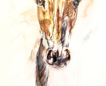 Aquarell | 18 x 24 cm | Gastgeschenk Hochzeit | #1006 Pferdekopf (nachempfunden) (Aquarell)