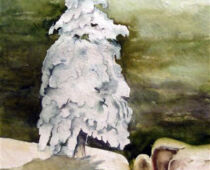 Aquarell | 30 x 40 cm | Preis: 75 € | #418 Schneebedeckte Tanne (nachempfunden) (Aquarell)