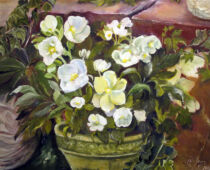 Öl auf Hartfaser | 40 x 50 cm | Preis: 125 € | #606 Christrosen (Öl auf Hartfaser)