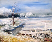 Öl | 30 x 40 cm | Preis: 100 € | #765 Elblandschaft Belgern (Öl)