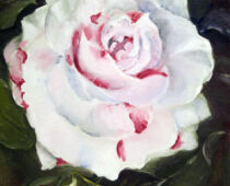 Öl auf Leinwand | 15 x 25 cm | Preis: 65 € | #627 Kamelie (Öl auf Leinwand)