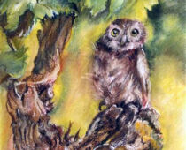 Pastellkreide | 30 x 40 cm | Preis: 95 € | #664 Eule am Weinstock (Pastellkreide)