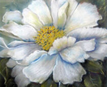 Pastellkreide | 25 x 25 cm | Preis: 75 € | #670 Weiße Blüte (Pastellkreide)